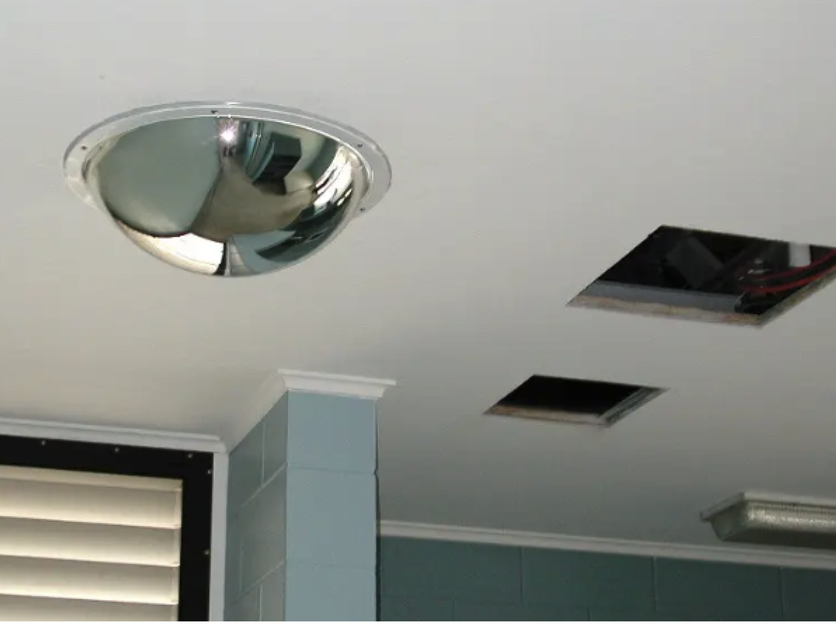 Full Dome Convex Mirror - SWS Group